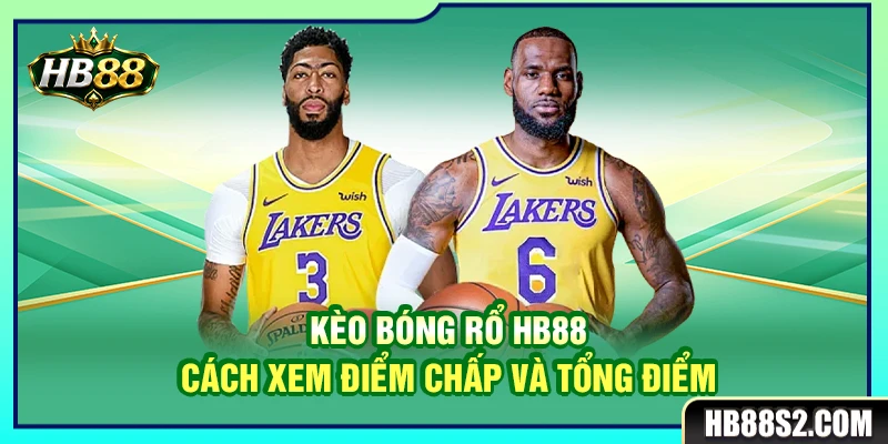 Kèo Bóng Rổ HB88 – Cách Xem Điểm Chấp Và Tổng Điểm 2 Kèo Bóng Rổ HB88 – Cách Xem Điểm Chấp Và Tổng Điểm