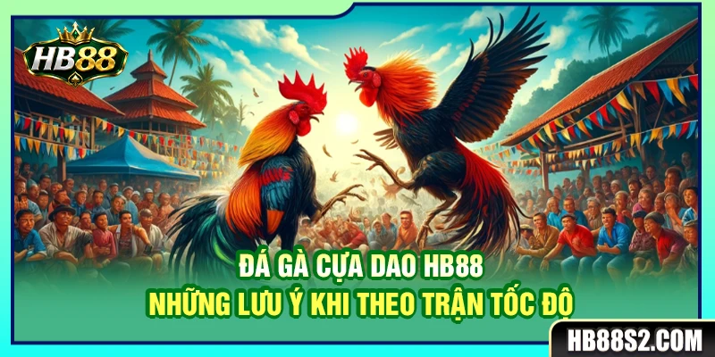 Đá Gà Cựa Dao HB88 – Những Lưu Ý Khi Theo Trận Tốc Độ 4 Đá Gà Cựa Dao HB88 – Những Lưu Ý Khi Theo Trận Tốc Độ