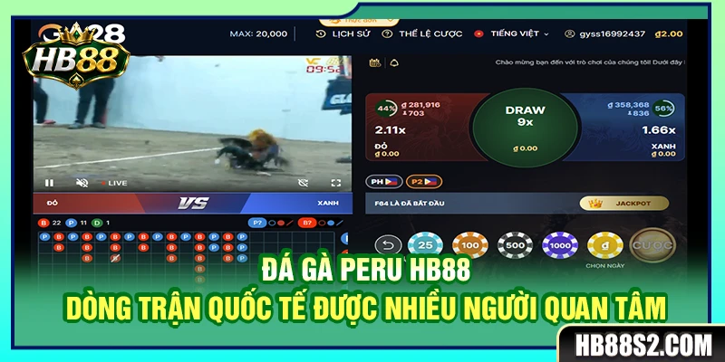 Đá Gà Peru HB88 – Dòng Trận Quốc Tế Được Nhiều Người Quan Tâm 3 Đá Gà Peru HB88 – Dòng Trận Quốc Tế Được Nhiều Người Quan Tâm