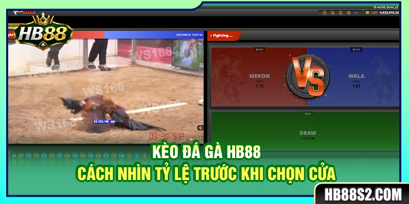 Kèo Đá Gà HB88 – Cách Nhìn Tỷ Lệ Trước Khi Chọn Cửa 2 Kèo Đá Gà HB88 – Cách Nhìn Tỷ Lệ Trước Khi Chọn Cửa