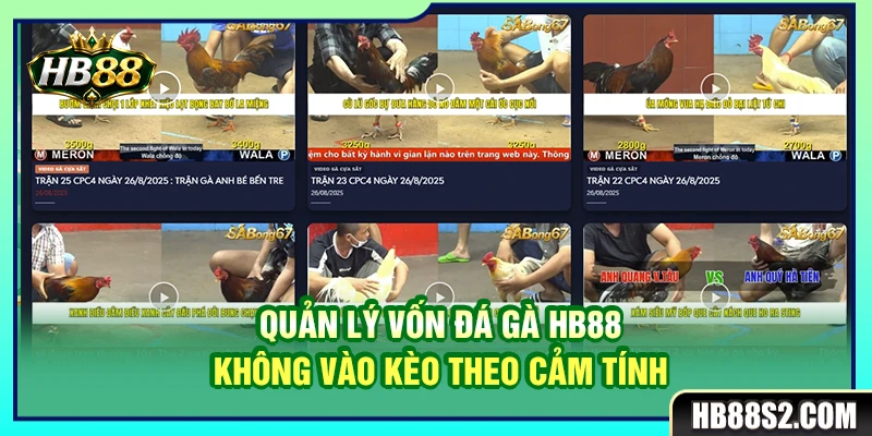 Quản Lý Vốn Đá Gà HB88 Không Vào Kèo Theo Cảm Tính 1 Quản Lý Vốn Đá Gà HB88 Không Vào Kèo Theo Cảm Tính