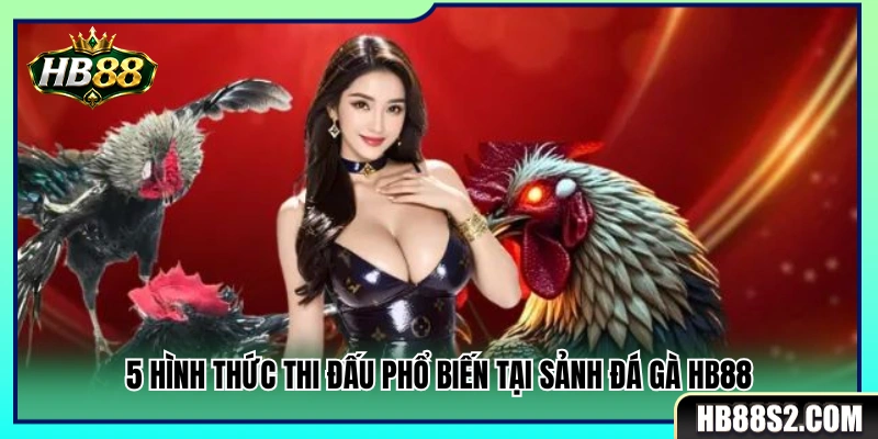 Đá Gà HB88 2 Tổng hợp 5 hình thức chọi gà phổ biến tại sảnh HB 88