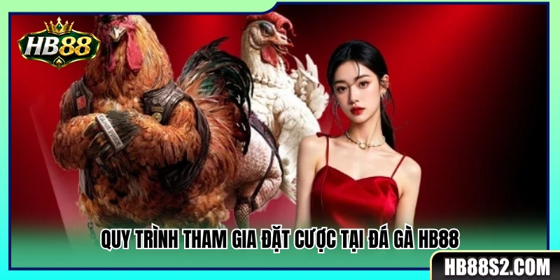 Đá Gà HB88 3 Các bước tham gia đặt cược đá gà HB88 đơn giản