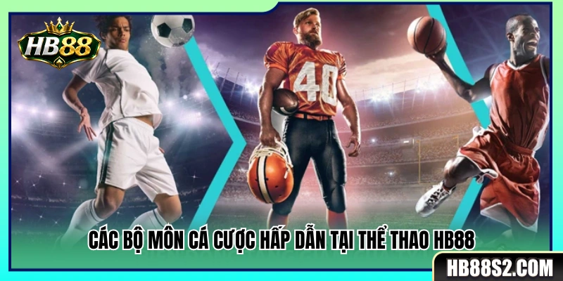 Thể Thao HB88 2 Những bộ môn thể thao cá cược cuốn hút