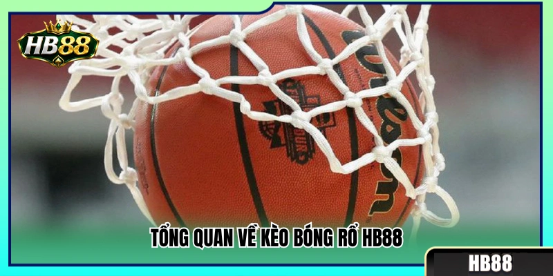 Kèo Bóng Rổ HB88 – Cách Xem Điểm Chấp Và Tổng Điểm 2 Khám phá thế giới kèo bóng rổ HB88