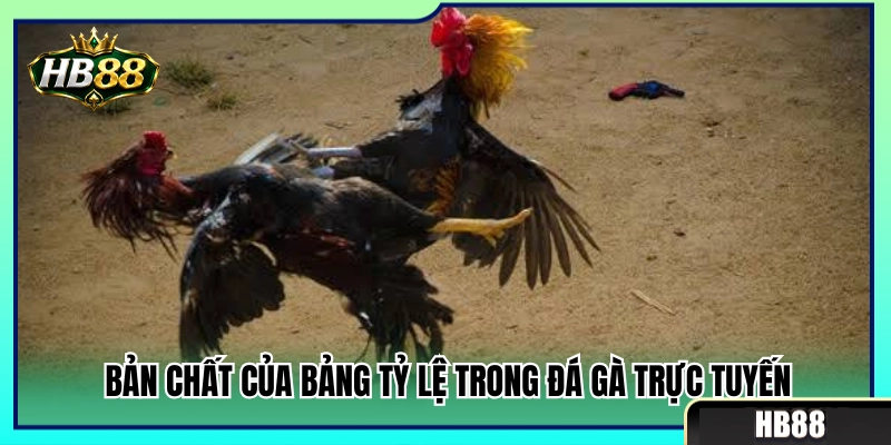 Kèo Đá Gà HB88 – Cách Nhìn Tỷ Lệ Trước Khi Chọn Cửa 2 Hiểu đúng bản chất bảng kèo đá gà HB88 trực tuyến