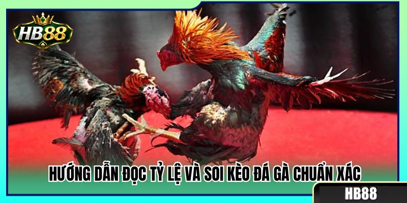 Kèo Đá Gà HB88 – Cách Nhìn Tỷ Lệ Trước Khi Chọn Cửa 3 Kỹ năng phân tích bảng tỷ lệ giúp soi kèo đá gà HB88 cực chuẩn
