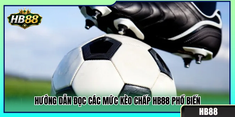 Kèo Handicap HB88 – Cách Đọc Kèo Chấp Không Nhầm Cửa 3 Cách xem những tỷ lệ cược chấp hay gặp